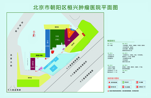 黑大屌搞鸡在线视频北京市朝阳区桓兴肿瘤医院平面图